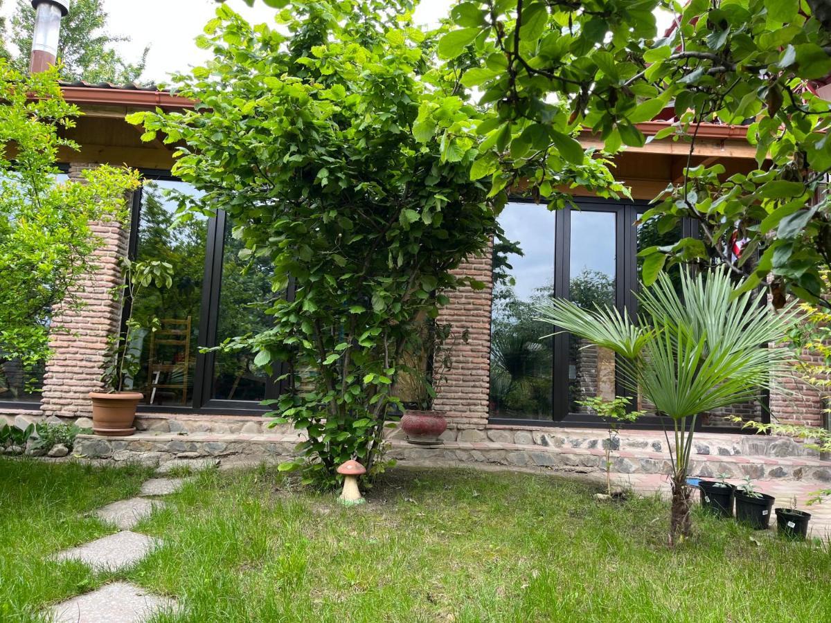 Guest House Poligloti Τελάβι Εξωτερικό φωτογραφία