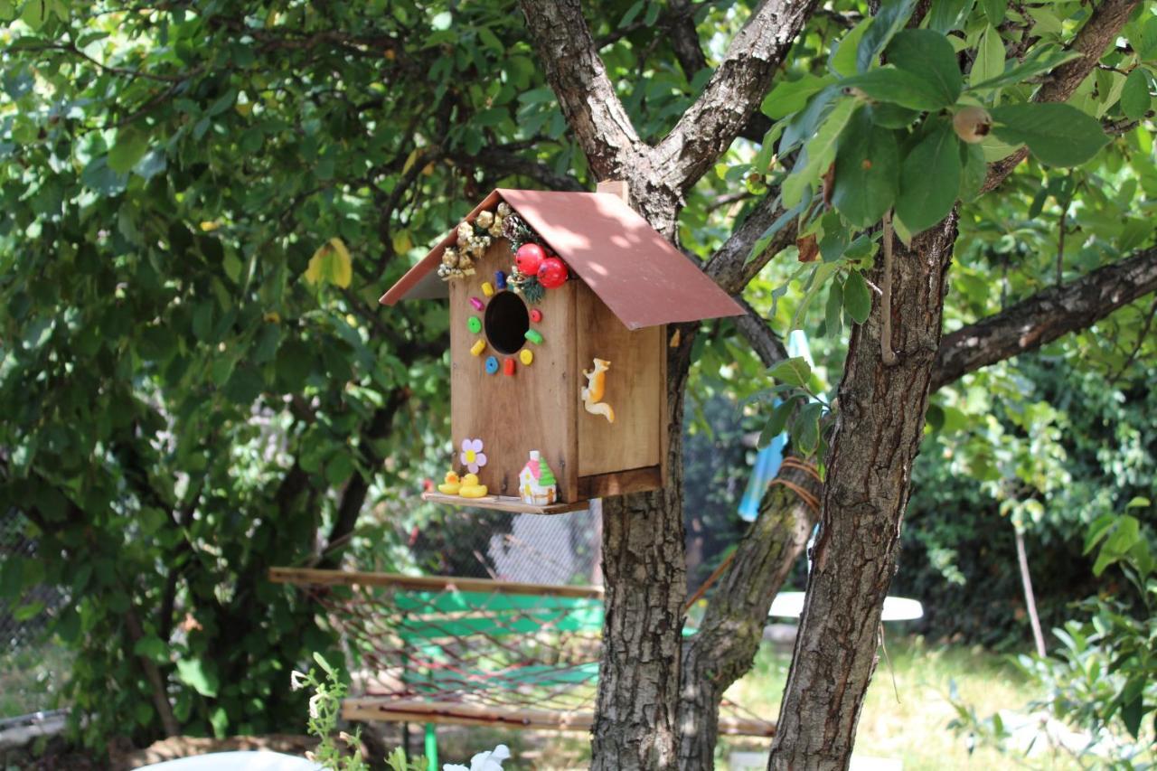 Guest House Poligloti Τελάβι Εξωτερικό φωτογραφία
